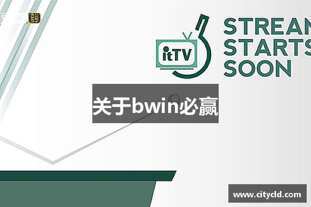 关于bwin必赢